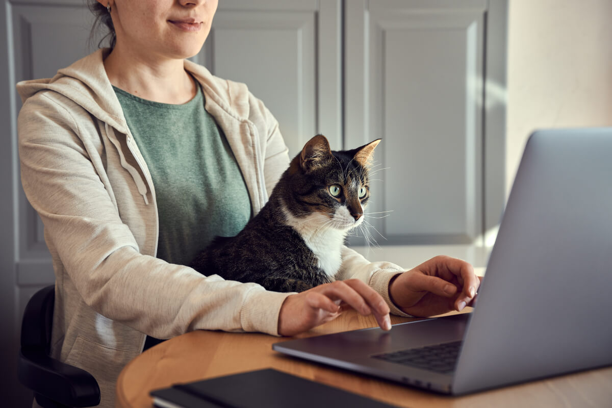 Woman on laptop with her cat in her lap